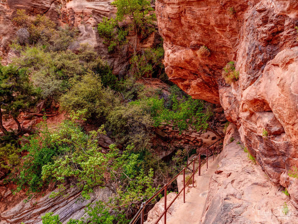 Narrow Cliff Trail To Zion Canyon Overlook