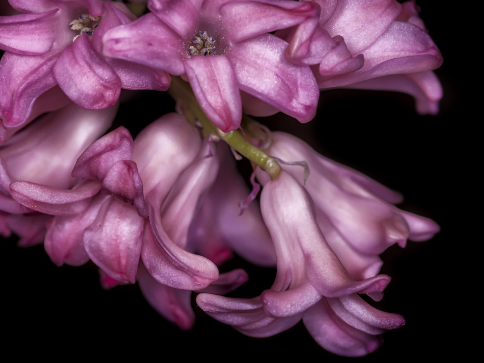 A First Look at Spring