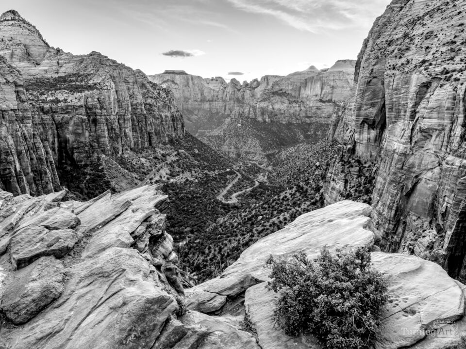 Zion Rock Cliffs And Canyon Roads Grayscale