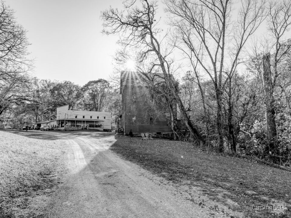 Driveway To Topaz Mill Grayscale