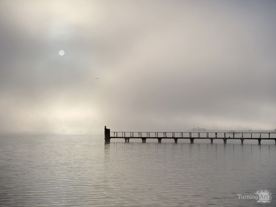 Foggy Dawn, Tomales Bay, California