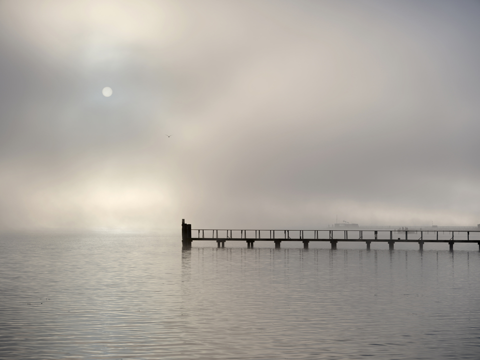 Foggy Dawn, Tomales Bay, California