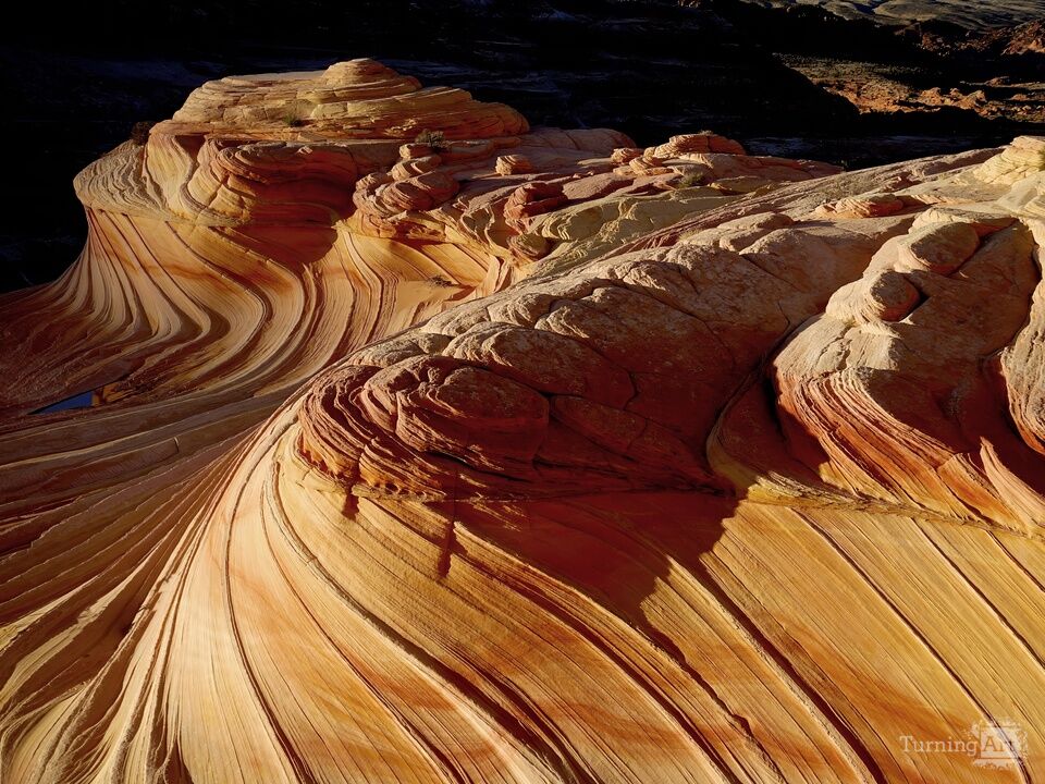The Wave 2, Vermilion Cliffs, Arizona