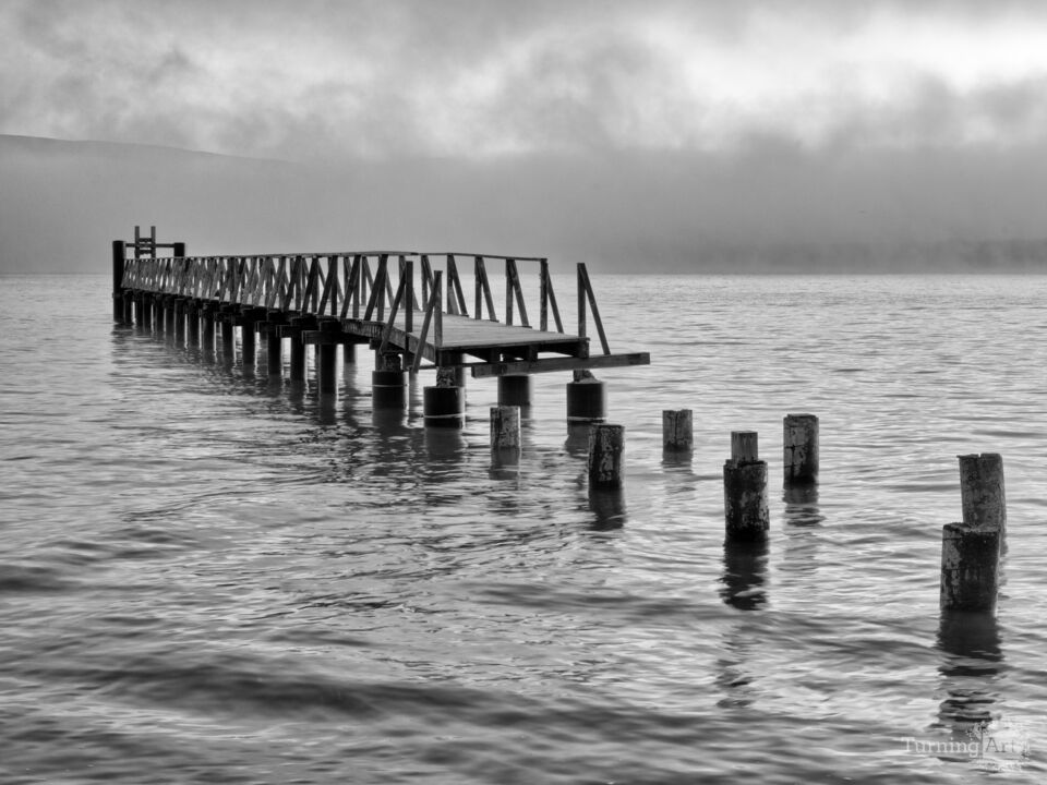 Brooding Tomales Bay, California