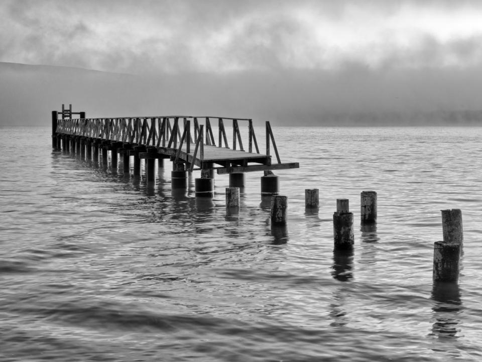 Brooding Tomales Bay, California