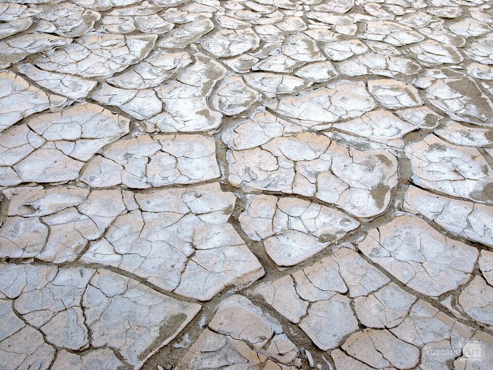 Dry Lake Bed, Death Valley, California 