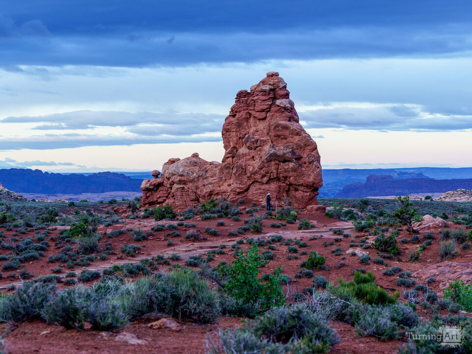Photographer On Windows Primitive Loop