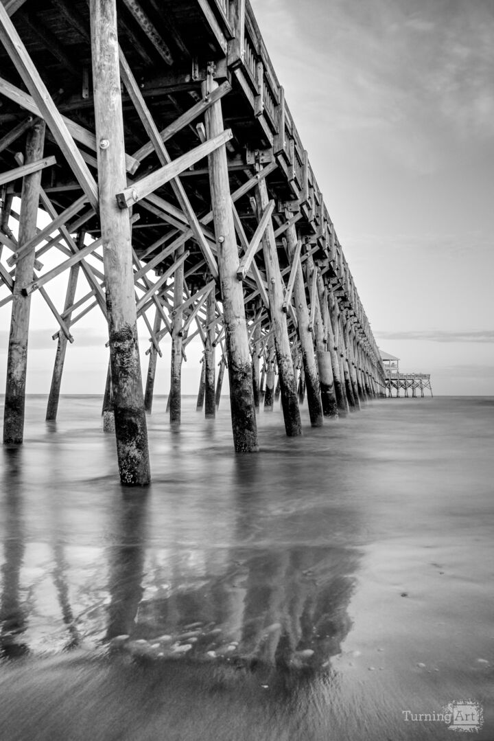 Beauty of Folly Beach Grayscale