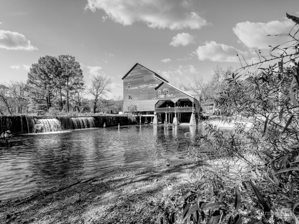 Framed By Nature Rockbridge Mill Grayscale