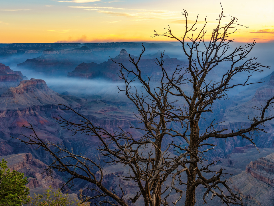 Silent Currents: Sunrise Light and Smoke in the Grand Canyon