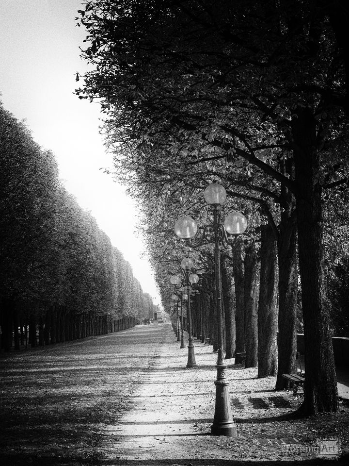 Shadows along the Seine