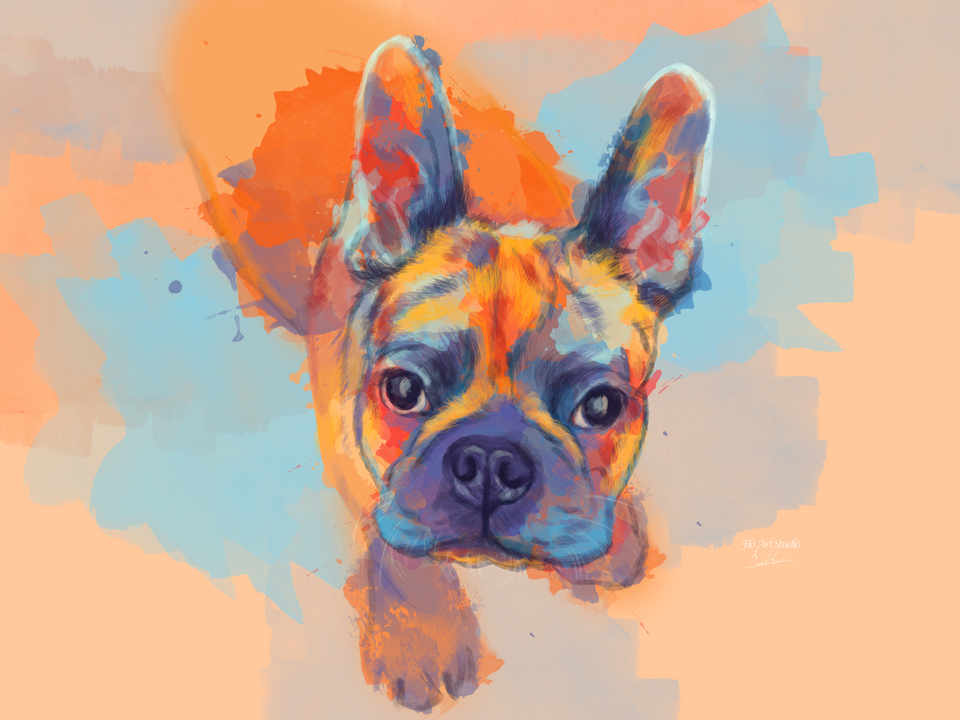 French Bulldog