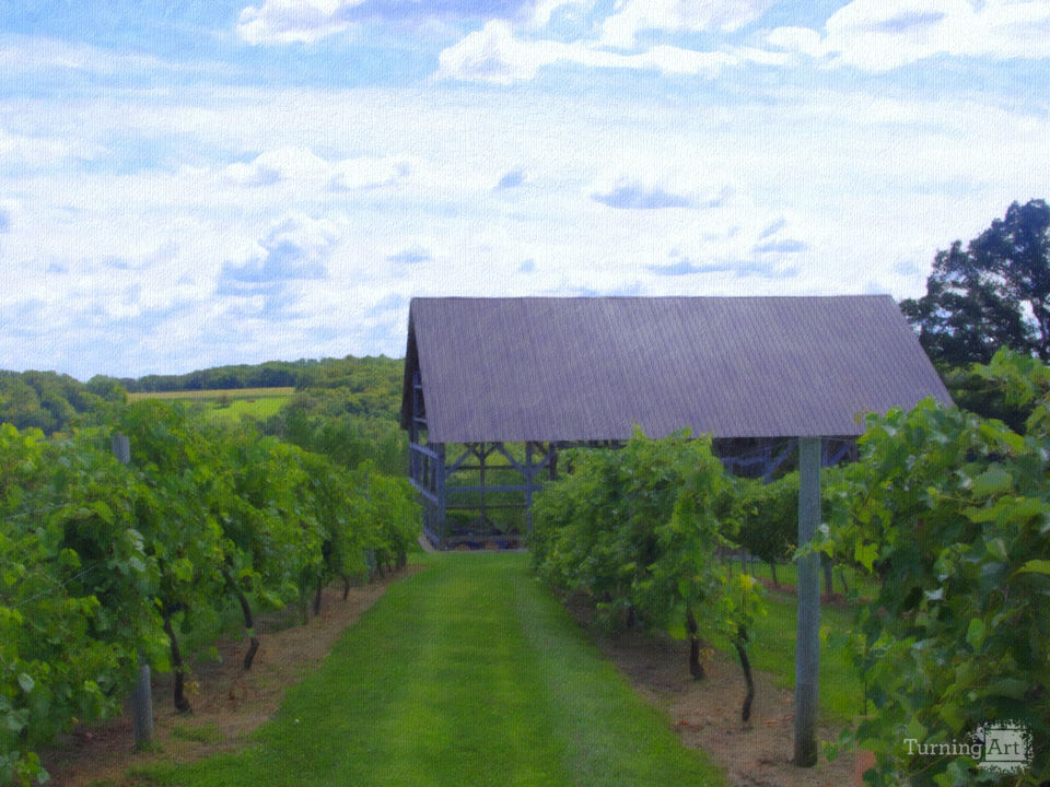 Barn Among the Vineyards