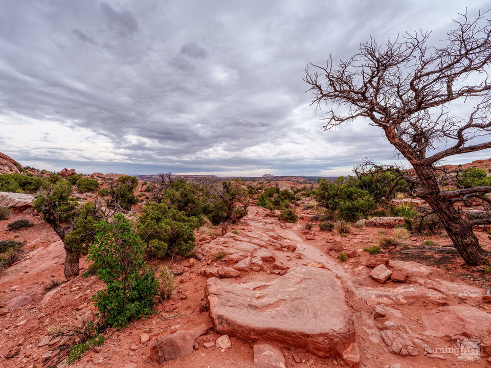 Canyonlands Desert Landscape Upheaval Trail
