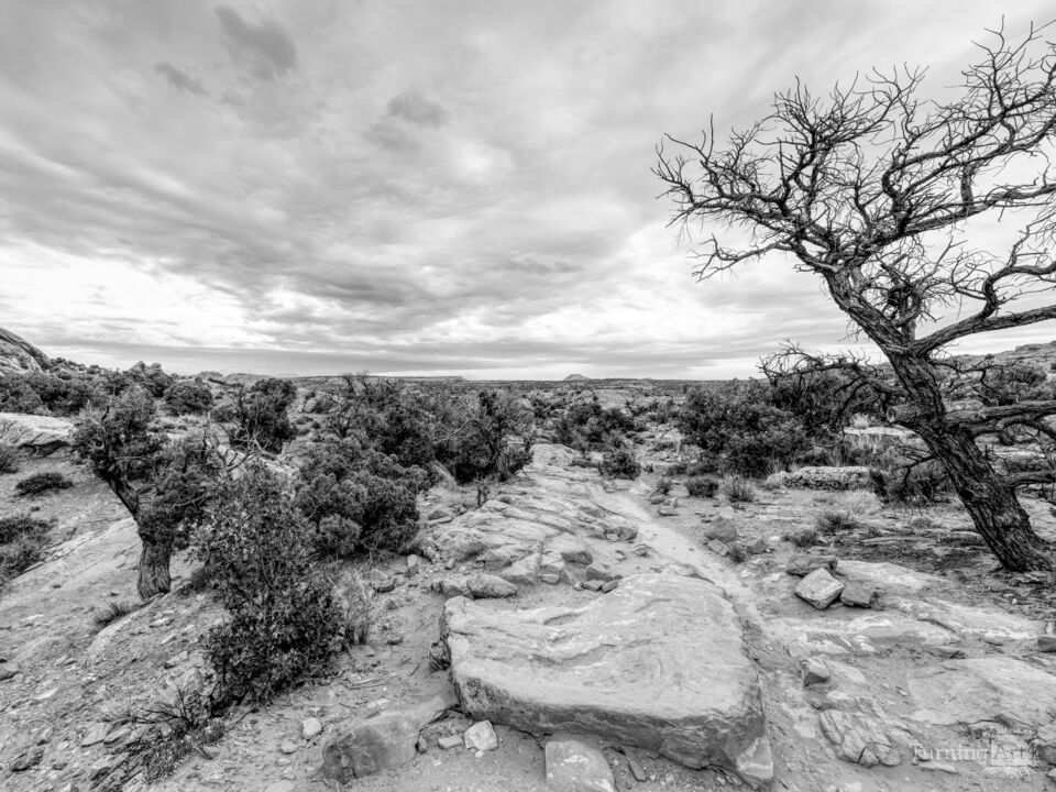 Canyonlands Desert Landscape Upheaval Trail Grayscale