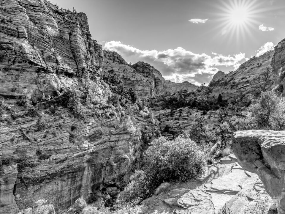 Sunburst Over Zion Canyon Grayscale