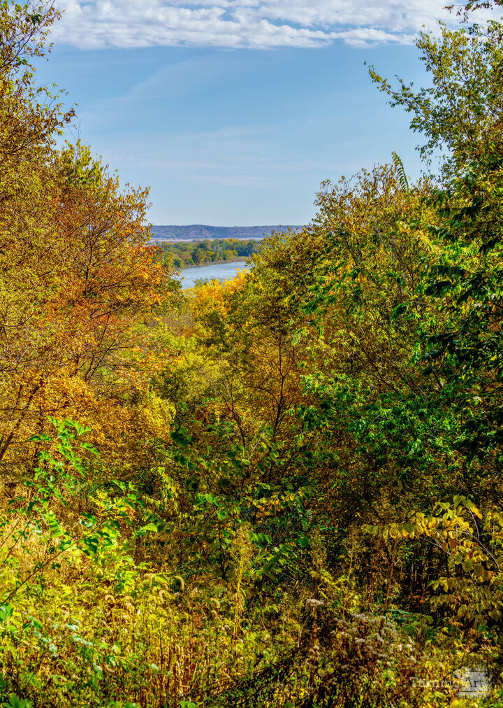 Golden Foliage And Missouri River View