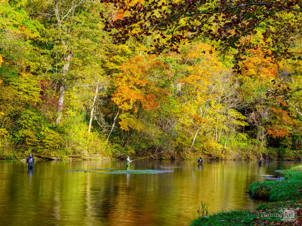 Casting Lines in Autumn Bennett Spring