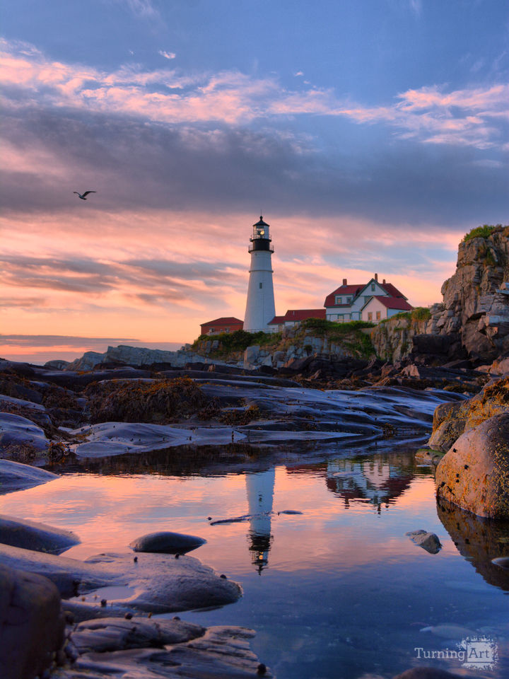 Portland Of My Dreams