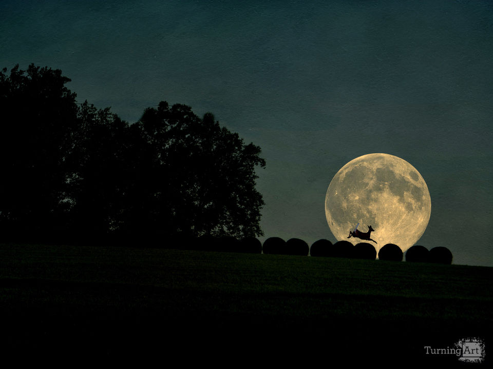 Deer Jumped Over The Moon