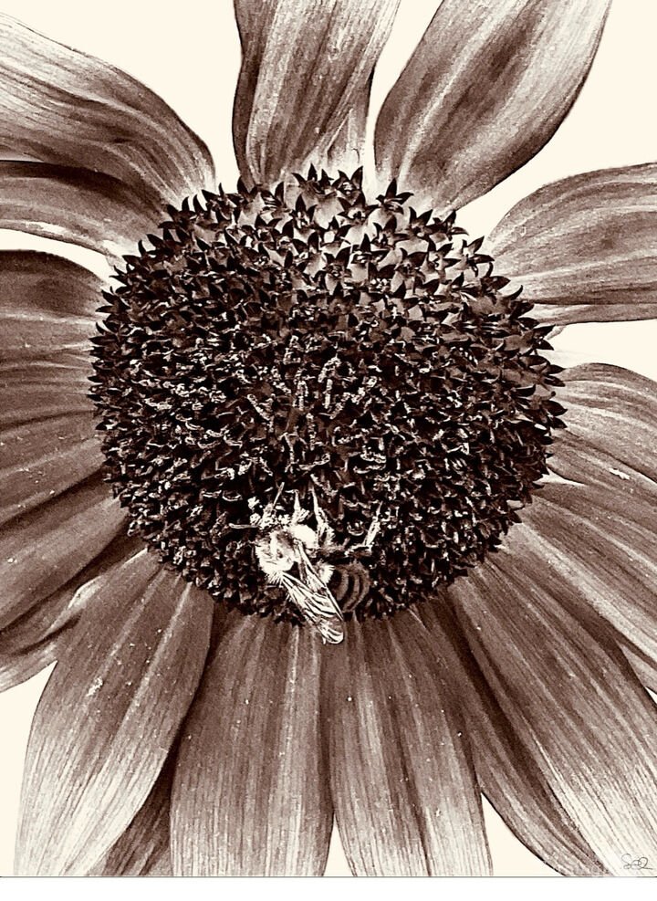 The Persistence Of Nature