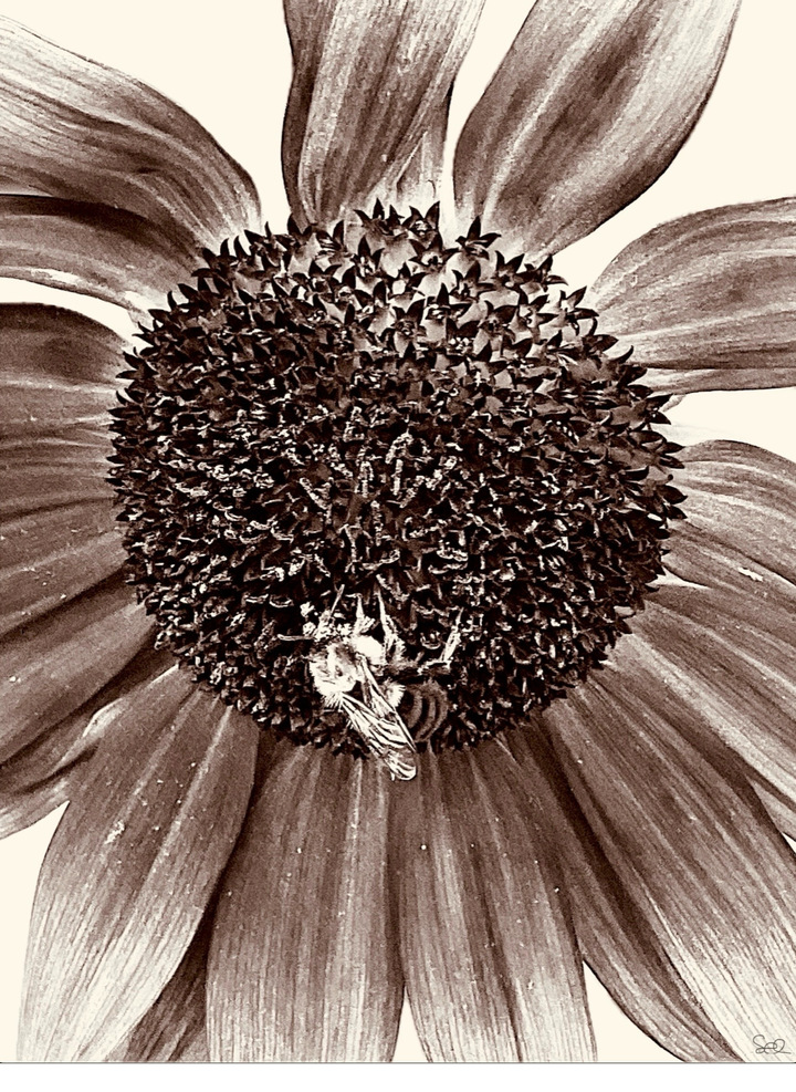 The Persistence Of Nature