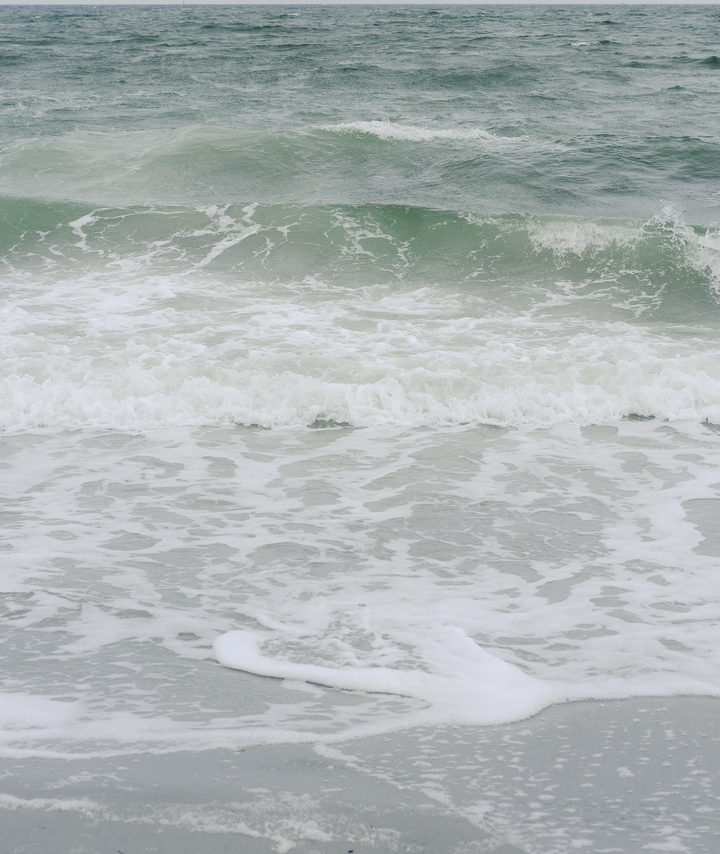 lessons from the sea . flow