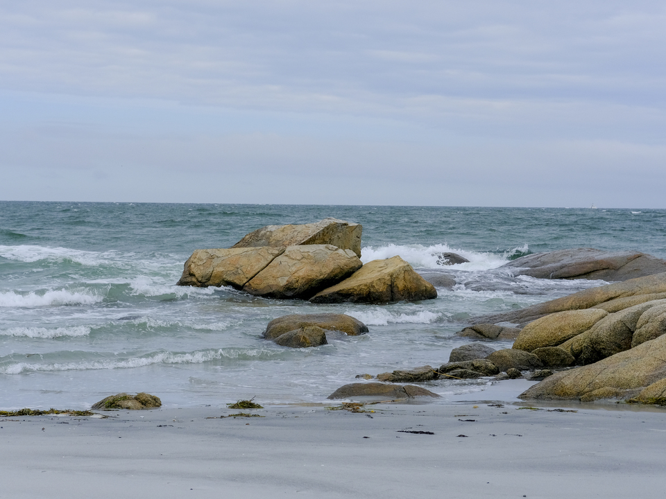 coastal landscape no. 222