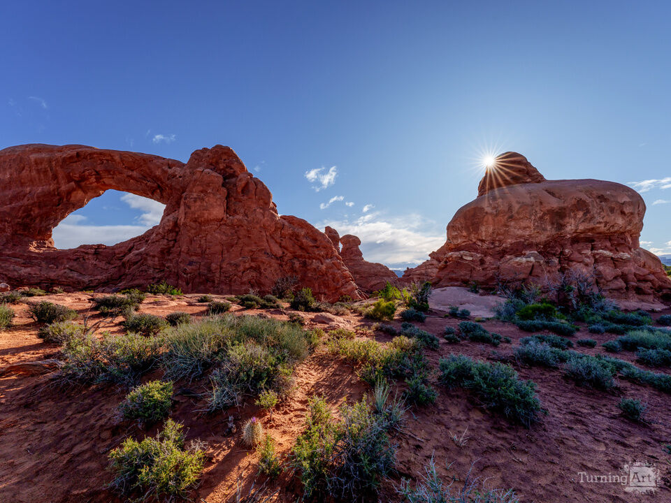 Morning Light Through Windows Section