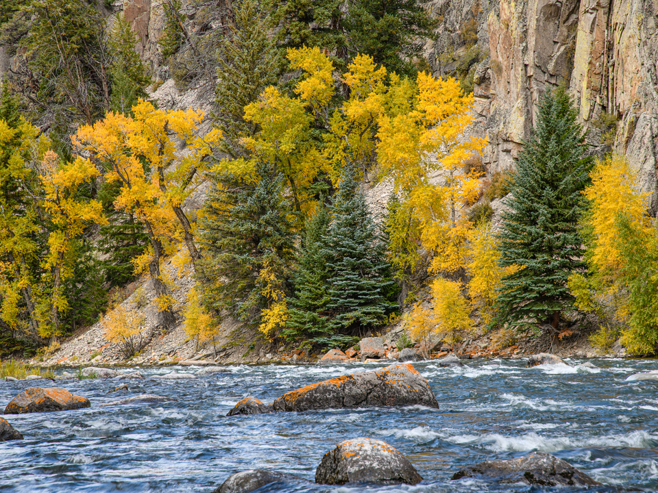 Fall Color on the Blue River