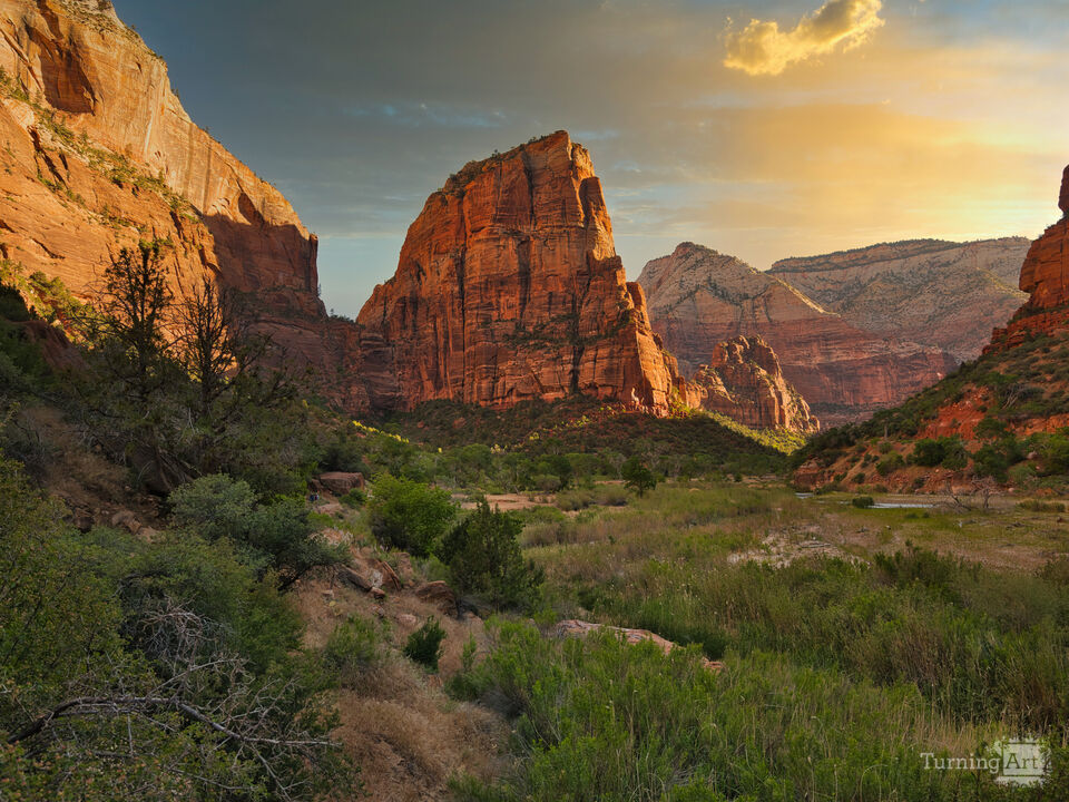 Zion sunrise