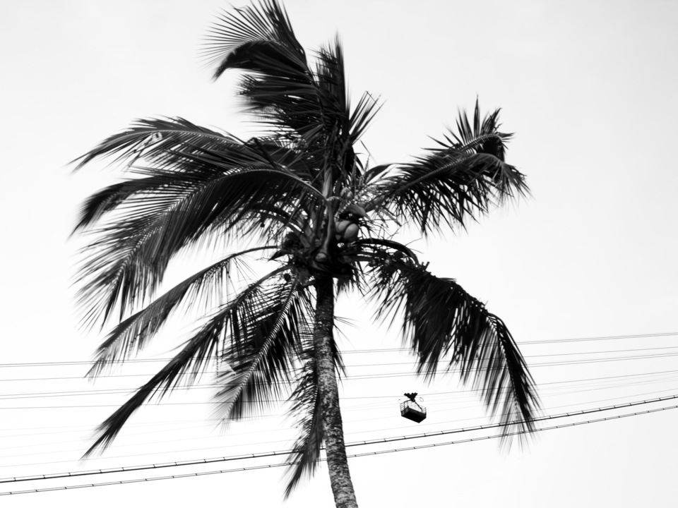 Urca, Rio de Janeiro 