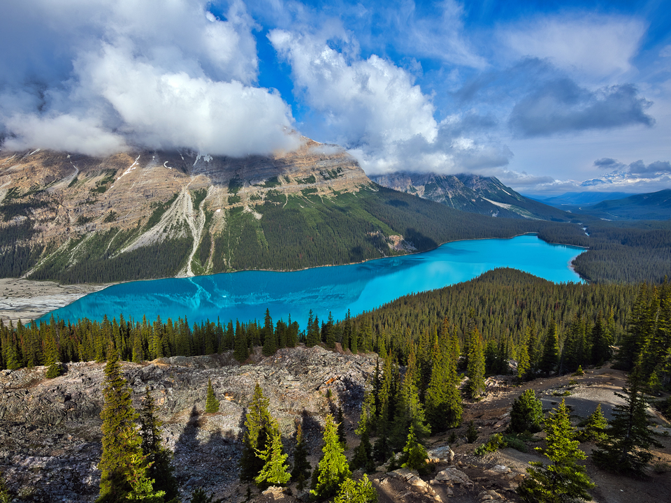 Peyto Lake