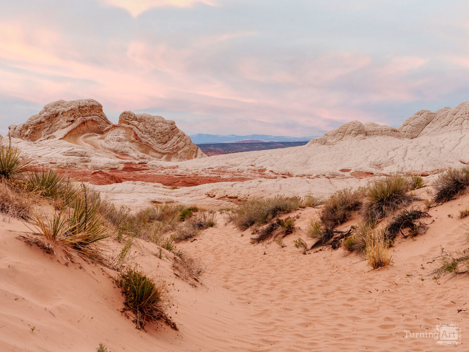 Coming Up On White Pocket