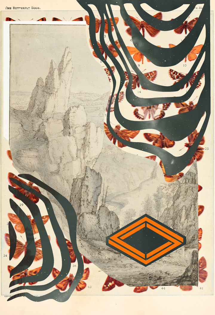 Lepidopterous Threshold