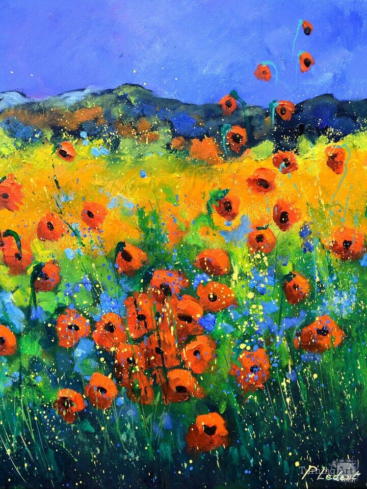 Red poppies in Provence 66