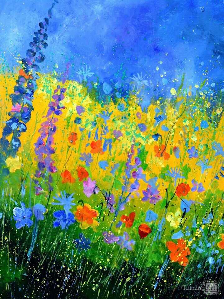 Summer meadow 