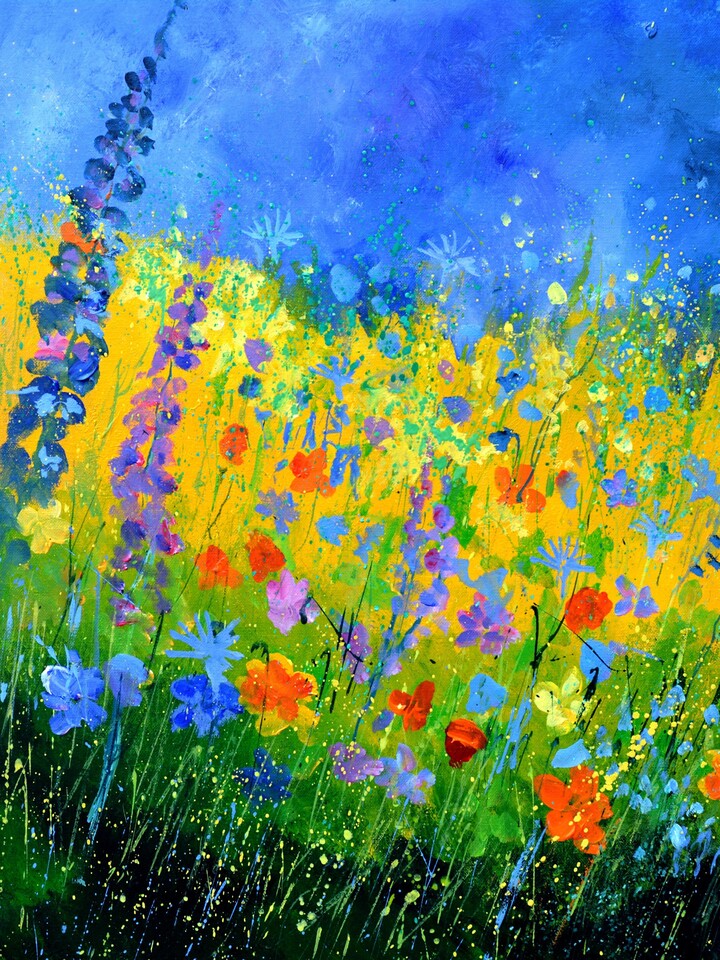Summer meadow 