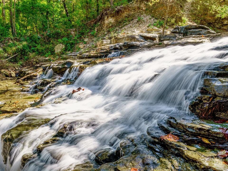 Beside A Flowing Waterfall Tanyard Creek
