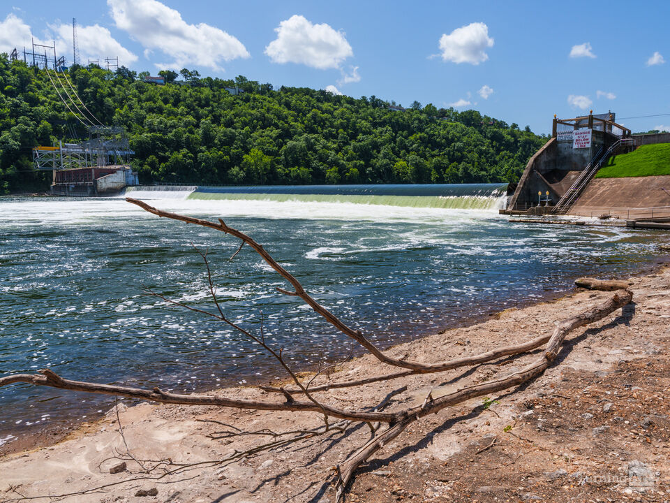 Tree Limb By Forsyth Missouri Dam