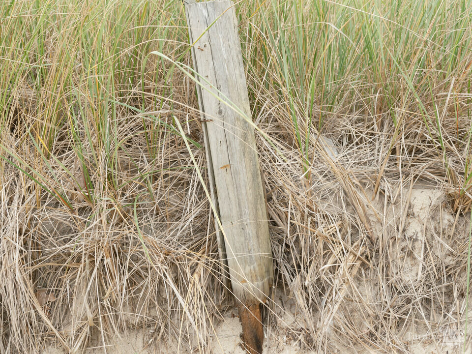 Cape Cod Sand Dune and Post
