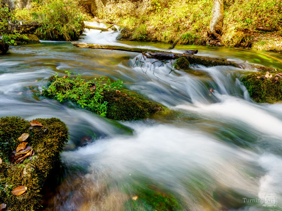 Rushing Waters Of Greer Spring