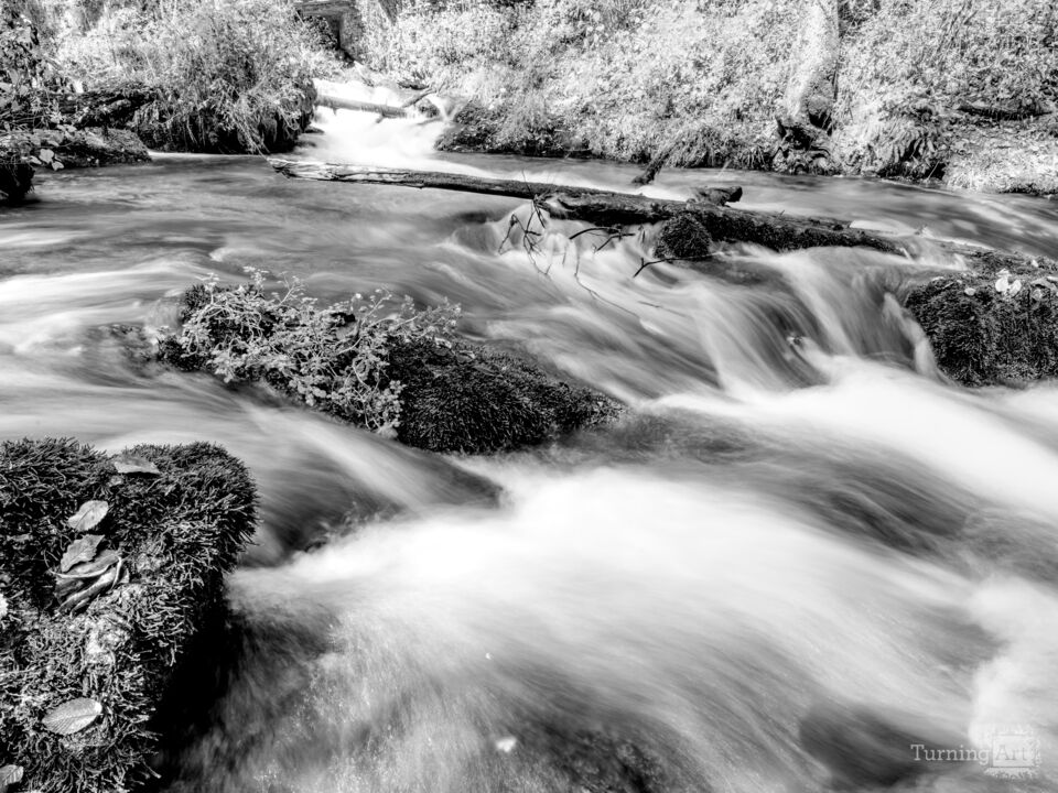 Rushing Waters Of Greer Spring Grayscale