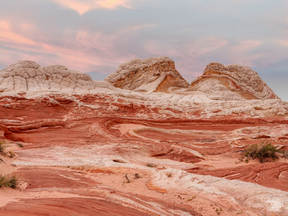 White Pocket The Lord’s Artwork