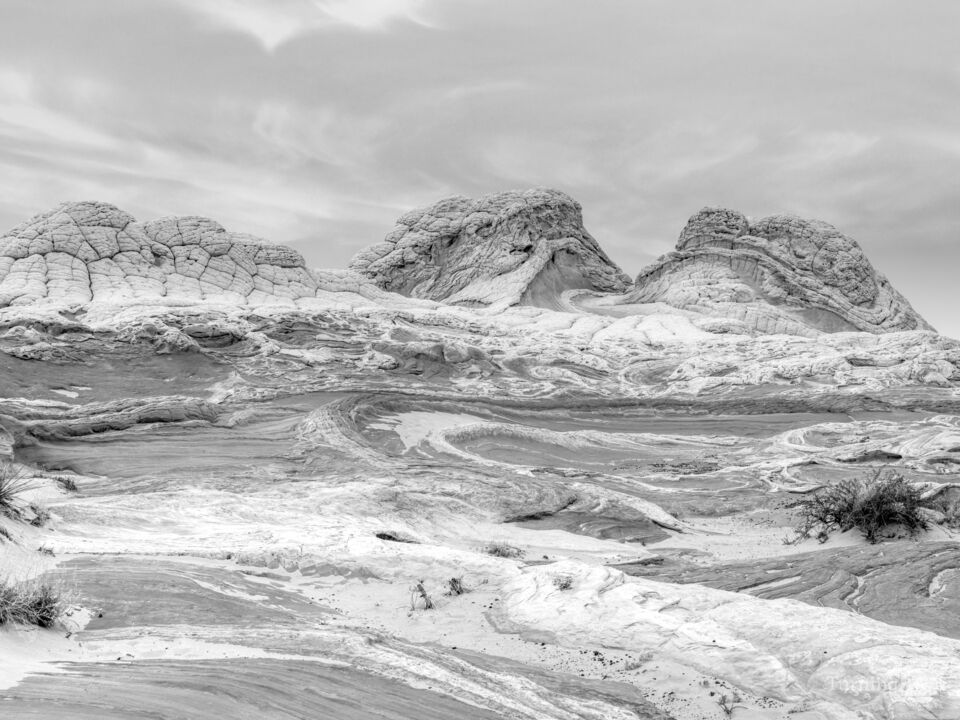 White Pocket The Lords Artwork Grayscale