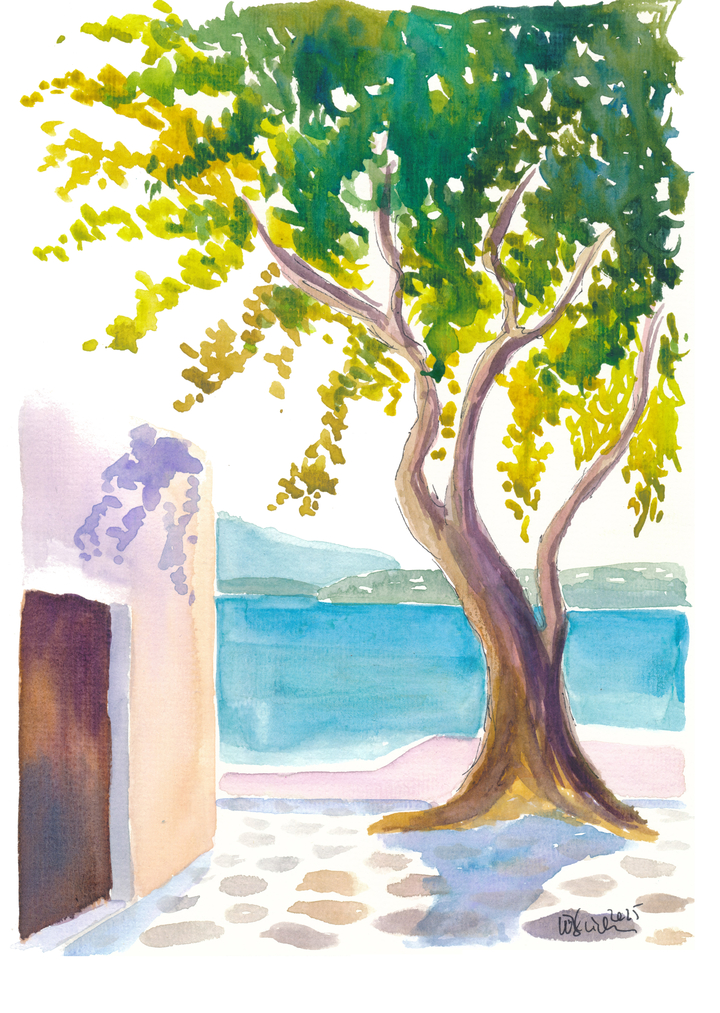 Olive Tree by the Sparkling Greek Sea Breeze