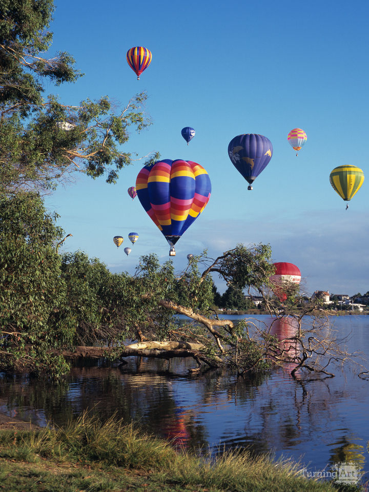 Hot air Balloons over Hamilton, NZ