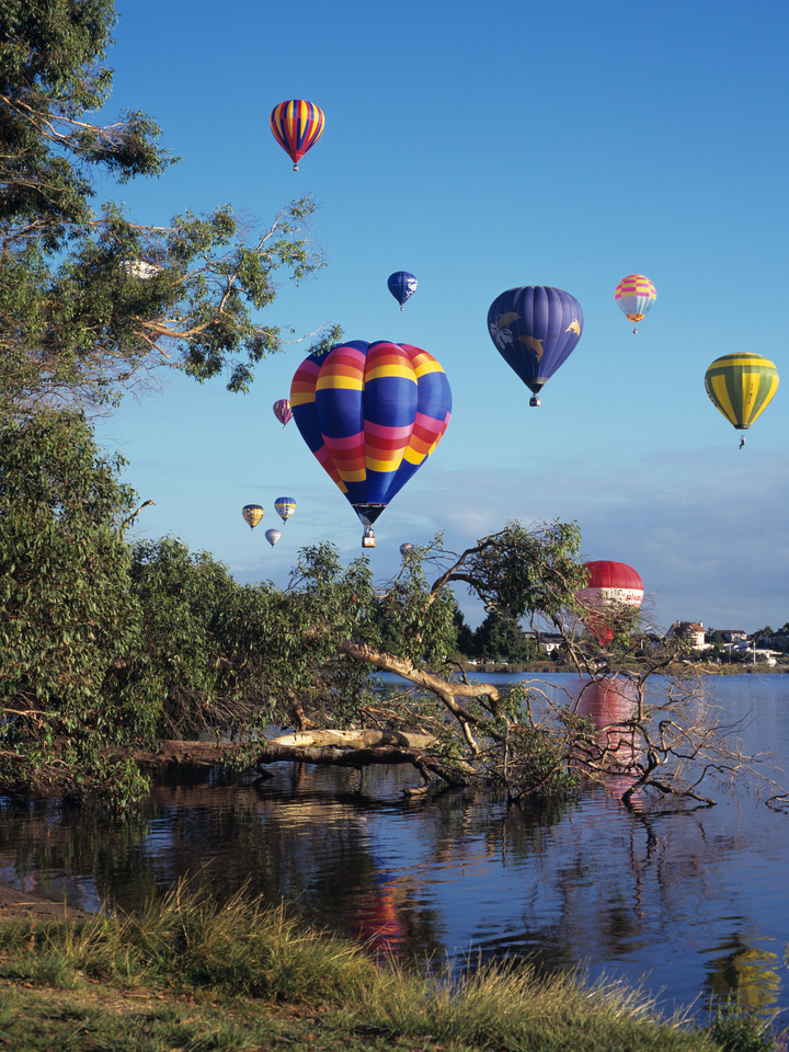 Hot air Balloons over Hamilton, NZ