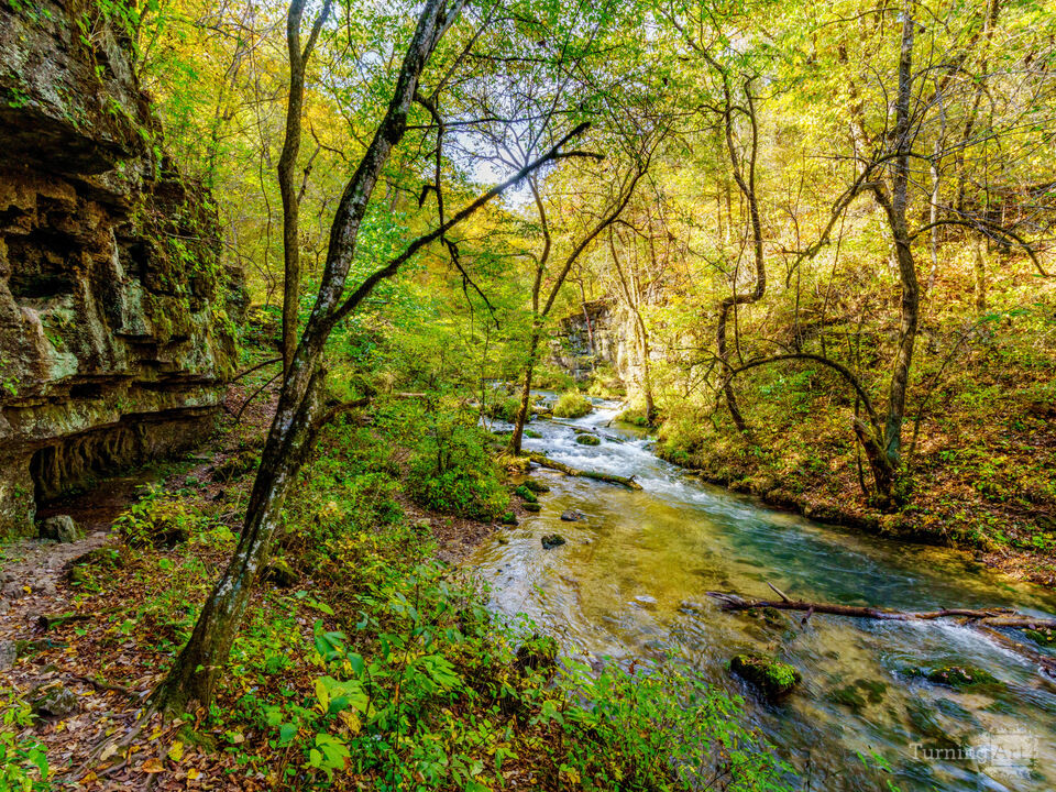 Creekside Trail At Greer Spring