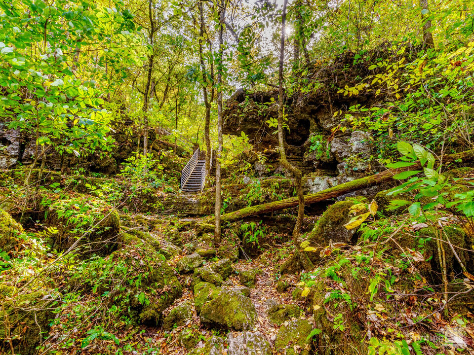 Stairs To Greer Spring Rugged Path